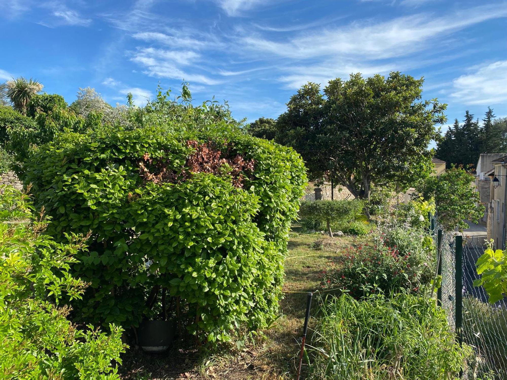 Sous Le Tilleul Saint-Maurice-de-Cazevieille 外观 照片